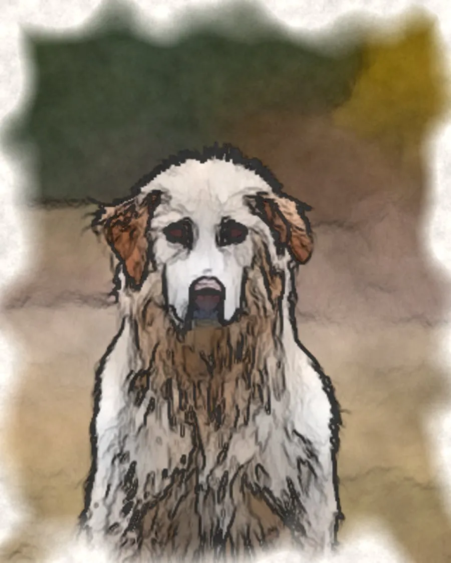 Huisdier