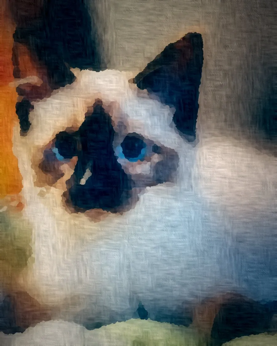 Kat