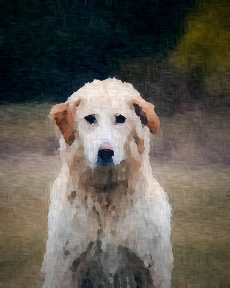Klassiek geschilderd portret van dezelfde hond