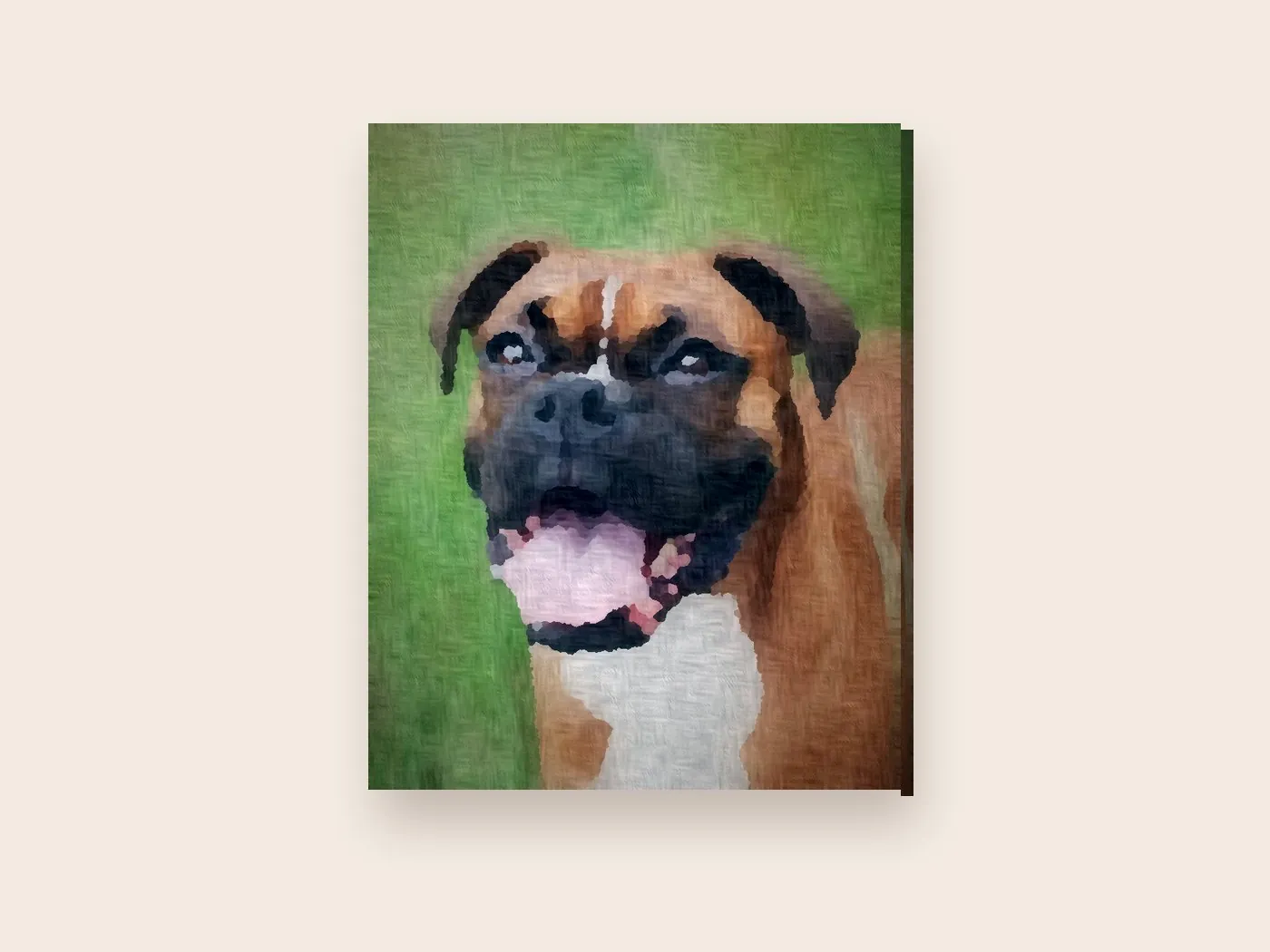 Canvas